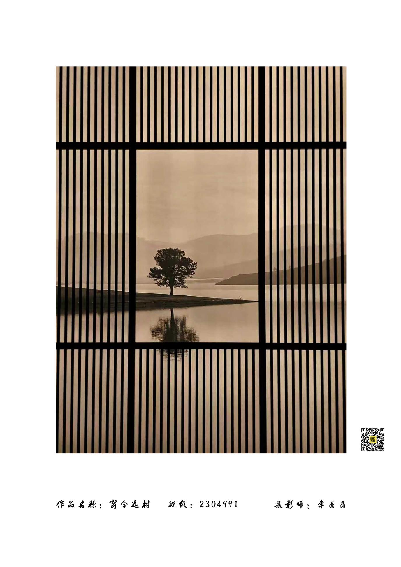 李晶晶